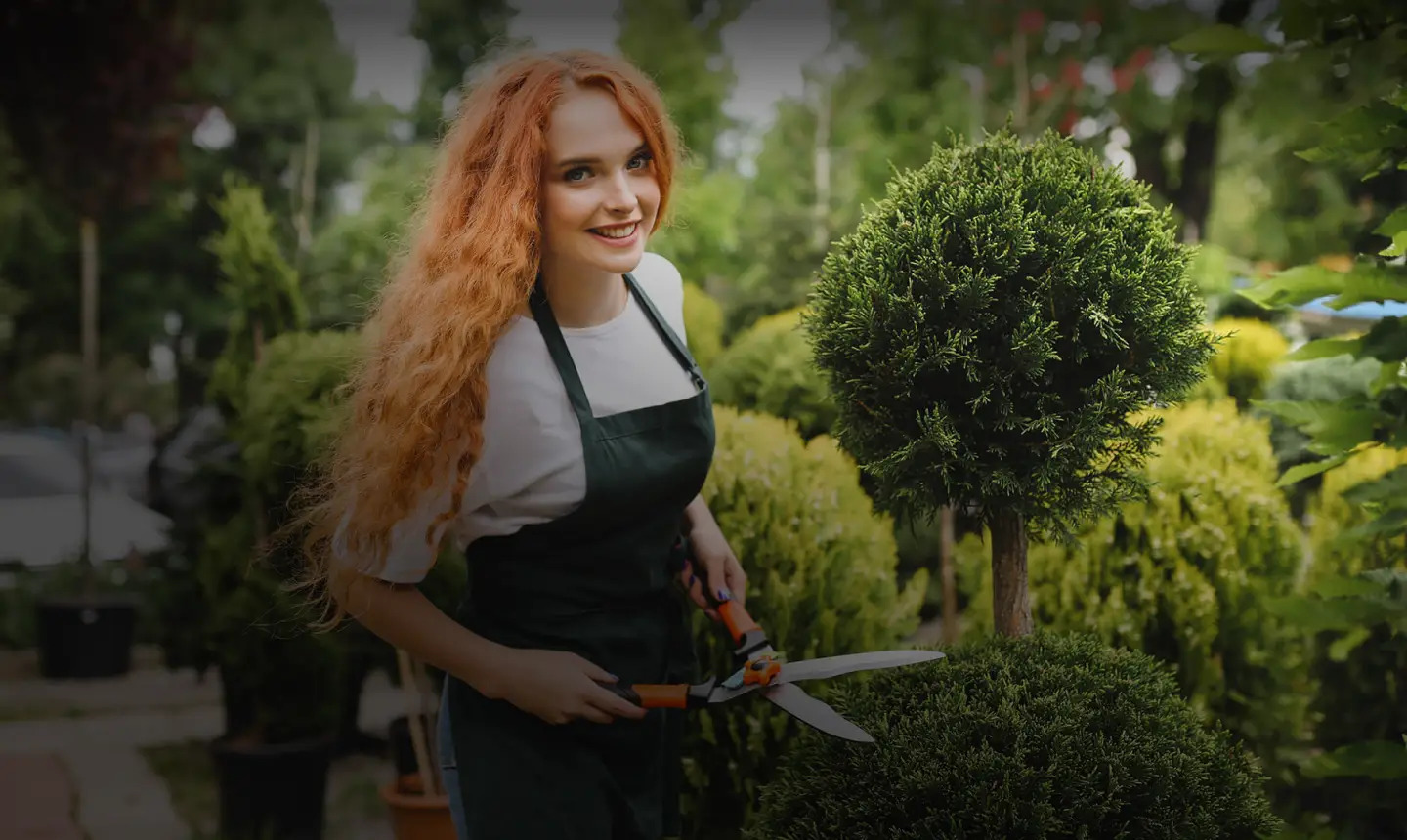 Top Hedge Trimming Services in Deptford for a Beautiful Garden