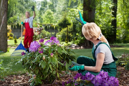 Gardener preparing tools for hedge trimming