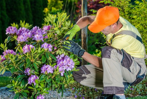 Secure payment header for hedge trimming Deptford
