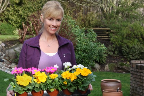 A woman with blonde hair tied back, wearing a purple jacket over a white top, is standing outdoors in a garden during daylight. She is smiling and holding a black tray filled with small terracotta pots containing vibrant yellow, pink, and white flowering plants. The garden features a well-maintained grassy lawn, a mix of green shrubs, and a backdrop of trees and flowering bushes. There are stone steps leading up to a higher section of the garden, and a wooden deck or patio area is partially visible in the background. The weather appears mild and clear, with natural daylight illuminating the scene, highlighting the lush greenery and bright flower colors. This setting reflects professional gardening and outdoor plant care, aligning with services offered by a local gardening company in Deptford, London, such as hedge trimming and garden maintenance offered by Hedge Trimming Deptford, contributing to a tidy and vibrant outdoor space.