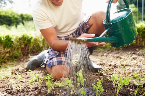 Detailed hedge trimming techniques by Deptford professionals