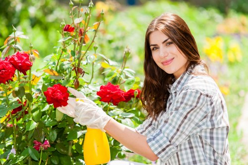 Expert gardener trimming hedges in Deptford